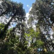 ヒメ日記 2025/08/22 14:53 投稿 ジュン ミセスコレクション