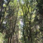 ヒメ日記 2025/09/20 09:30 投稿 ジュン ミセスコレクション