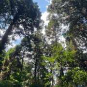 ヒメ日記 2025/09/22 07:14 投稿 ジュン ミセスコレクション