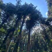 ヒメ日記 2025/09/30 04:33 投稿 ジュン ミセスコレクション