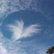 ヒメ日記 2025/11/25 07:29 投稿 ジュン ミセスコレクション