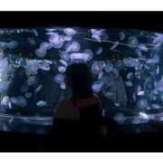 ヒメ日記 2026/03/08 16:00 投稿 えま ぽちゃSPA