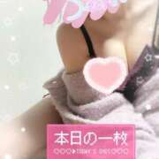 ヒメ日記 2025/10/01 16:49 投稿 岸 ありさ セレブリフレ水戸