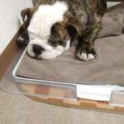 ヒメ日記 2025/09/10 00:20 投稿 ひな フローラル