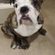 ヒメ日記 2025/10/02 19:16 投稿 ひな フローラル