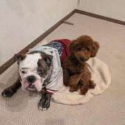 ヒメ日記 2025/12/02 23:07 投稿 ひな フローラル