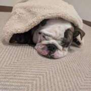 ヒメ日記 2025/12/06 15:12 投稿 ひな フローラル