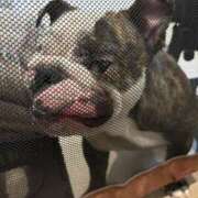 ひな 頑張ってます🤣 フローラル