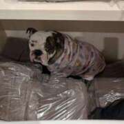 ヒメ日記 2026/01/11 18:06 投稿 ひな フローラル