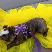 ヒメ日記 2026/03/14 22:30 投稿 ひな フローラル