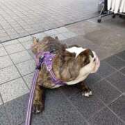 ヒメ日記 2026/04/02 15:31 投稿 ひな フローラル