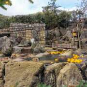 ヒメ日記 2024/12/22 11:08 投稿 小牧あか里 五十路マダムエクスプレス船橋店(カサブランカグループ)