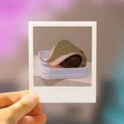 ヒメ日記 2025/03/18 11:44 投稿 小牧あか里 五十路マダムエクスプレス船橋店(カサブランカグループ)