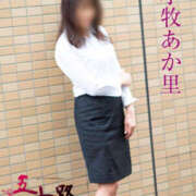 ヒメ日記 2025/04/01 13:48 投稿 小牧あか里 五十路マダムエクスプレス船橋店(カサブランカグループ)