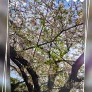 ヒメ日記 2025/04/09 22:04 投稿 小牧あか里 五十路マダムエクスプレス船橋店(カサブランカグループ)