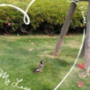 ヒメ日記 2025/06/01 10:18 投稿 小牧あか里 五十路マダムエクスプレス船橋店(カサブランカグループ)