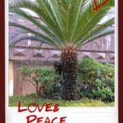 ヒメ日記 2025/06/19 09:40 投稿 小牧あか里 五十路マダムエクスプレス船橋店(カサブランカグループ)