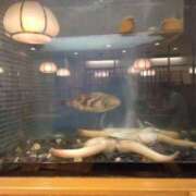 ヒメ日記 2025/08/05 16:40 投稿 小牧あか里 五十路マダムエクスプレス船橋店(カサブランカグループ)