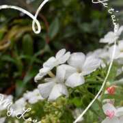 ヒメ日記 2025/08/24 09:46 投稿 小牧あか里 五十路マダムエクスプレス船橋店(カサブランカグループ)