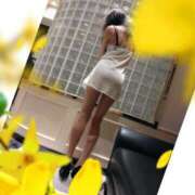 ヒメ日記 2026/02/15 11:46 投稿 小牧あか里 五十路マダムエクスプレス船橋店(カサブランカグループ)