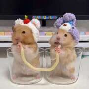 ヒメ日記 2026/03/11 09:33 投稿 まろん もしも清楚な20、30代の妻とキスイキできたら横浜店