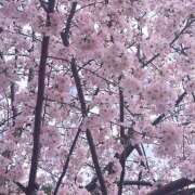 ヒメ日記 2026/03/23 15:00 投稿 ひなの 世界のあんぷり亭 立川店