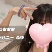 ヒメ日記 2025/06/20 22:42 投稿 ふゆ キューティーハニー