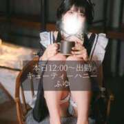 ヒメ日記 2025/09/20 07:01 投稿 ふゆ キューティーハニー