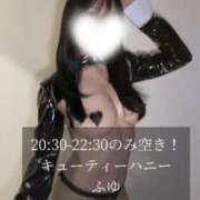 ヒメ日記 2025/11/29 14:27 投稿 ふゆ キューティーハニー