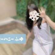 ヒメ日記 2025/12/13 14:36 投稿 ふゆ キューティーハニー