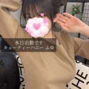 ヒメ日記 2026/01/31 07:01 投稿 ふゆ キューティーハニー