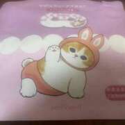 ヒメ日記 2025/03/06 23:09 投稿 かのん クラブ貴公子