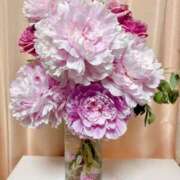 ヒメ日記 2025/06/15 13:29 投稿 かのん クラブ貴公子