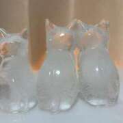 ヒメ日記 2025/07/04 21:25 投稿 かのん クラブ貴公子