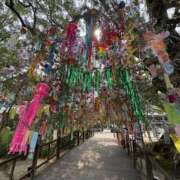 ヒメ日記 2025/07/07 09:43 投稿 かのん クラブ貴公子