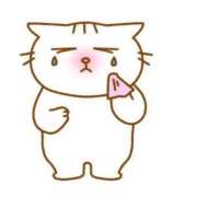 ヒメ日記 2025/09/12 03:02 投稿 かのん クラブ貴公子