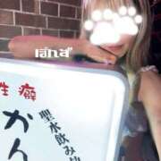 ヒメ日記 2026/02/27 15:26 投稿 ぽんず 変態なんでも鑑定団