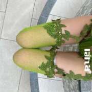 ヒメ日記 2026/04/02 10:16 投稿 ぽんず 変態なんでも鑑定団