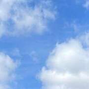 ぽんず セミ鳴いてたけど💧‬ 変態なんでも鑑定団