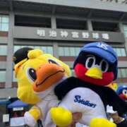 ヒメ日記 2025/06/08 12:02 投稿 山本あい 川崎南町 素敵な奥様（川崎ハレ系）