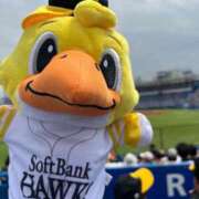 ヒメ日記 2025/06/08 16:39 投稿 山本あい 川崎南町 素敵な奥様（川崎ハレ系）