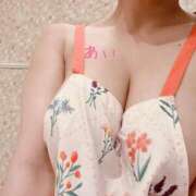 ヒメ日記 2026/04/18 09:45 投稿 山本あい 川崎南町 素敵な奥様（川崎ハレ系）