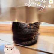 ヒメ日記 2025/03/21 15:41 投稿 みか 大奥 梅田店