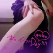 ヒメ日記 2025/07/15 09:26 投稿 みか 大奥 梅田店