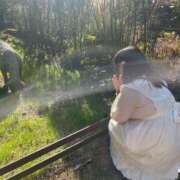 ヒメ日記 2026/02/05 19:06 投稿 すい 元祖ぽちゃカワ倶楽部