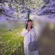 ヒメ日記 2026/04/04 01:26 投稿 すい 元祖ぽちゃカワ倶楽部