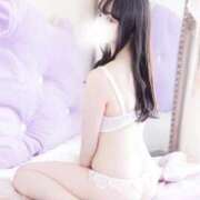 ヒメ日記 2025/03/01 08:56 投稿 めい 鹿鳴館