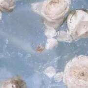 ヒメ日記 2025/03/01 15:16 投稿 めい 鹿鳴館