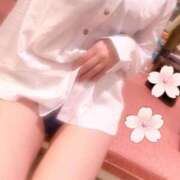 ヒメ日記 2026/04/14 05:30 投稿 椎名りか お色気物語（横浜ハレ系）