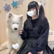 ヒメ日記 2024/12/08 21:42 投稿 ぐみ クラスメイト